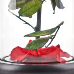 Timeless Rose by Sharper Image - Image 7