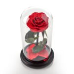 Timeless Rose by Sharper Image - Image 3