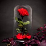 Timeless Rose by Sharper Image - Image 2