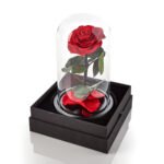 Timeless Rose by Sharper Image - Image 4