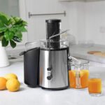 2-Speed Electric Juice Press