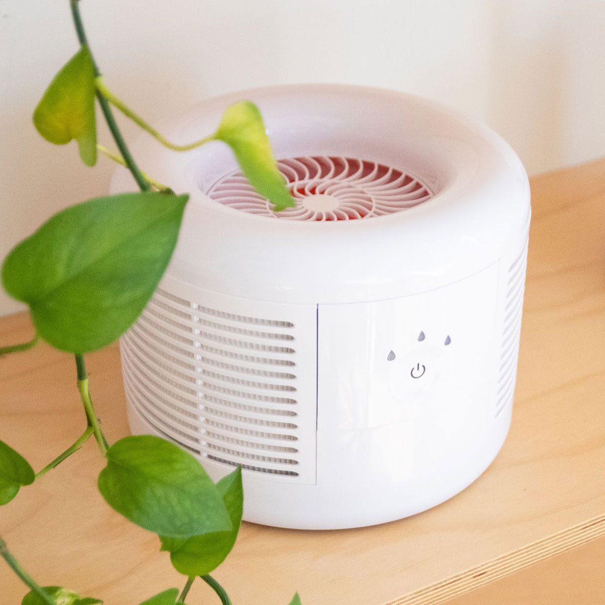 212176-z1.jpg Compact Air Purifier - Image 1