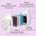 Bear-Shaped HEPA UV‑C Air Purifier - Image 3