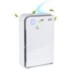 250 Sq. Ft. Air Purifier with UV Technology - Image 2